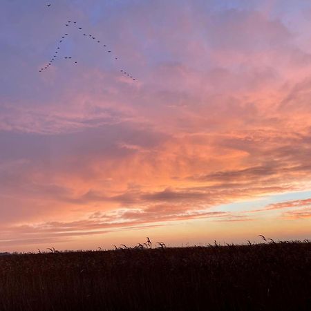 Deichkoje12 Direkt Am Eiderdeich Nur 7 Km Bis Zur Nordsee Und 20 Min Bis Sankt Peter Ording Tönning エクステリア 写真